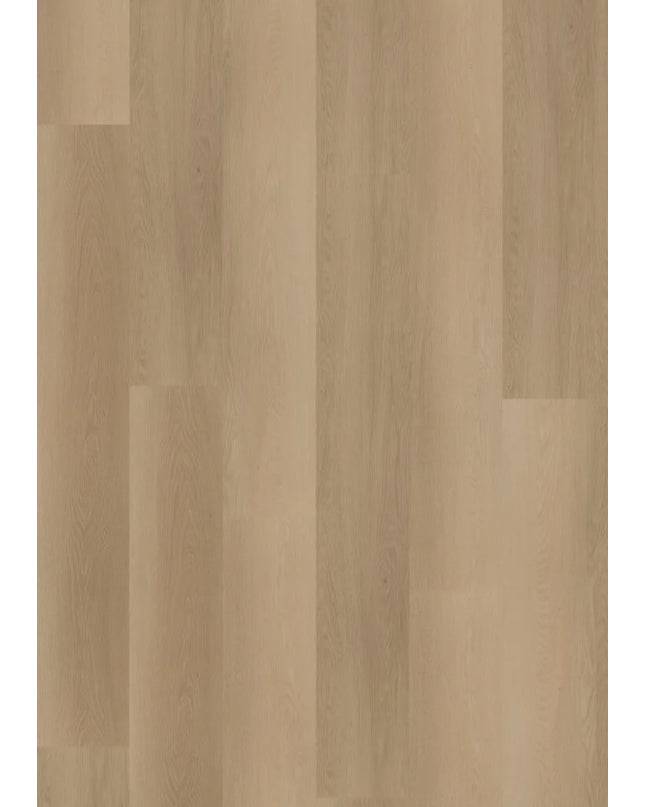 Ambassador Dryback Vermont 12