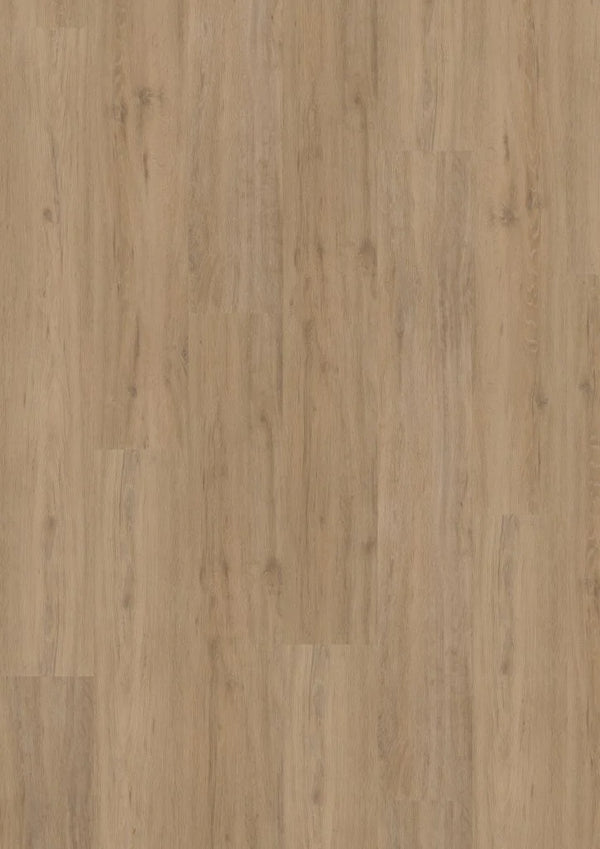 Fusion Superior XL Gotham Oak Natural (Dryback)