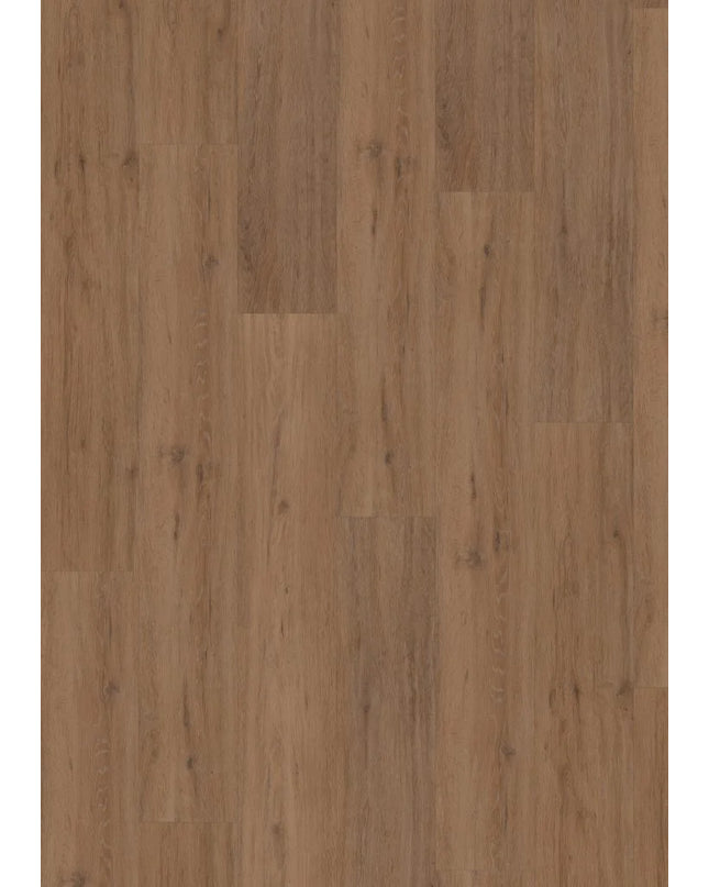 Fusion Superior XL Gotham Oak Honey (Dryback)