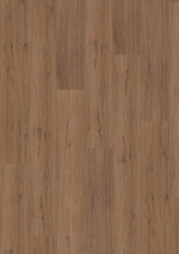 Fusion Superior XL Gotham Oak Honey (Dryback)