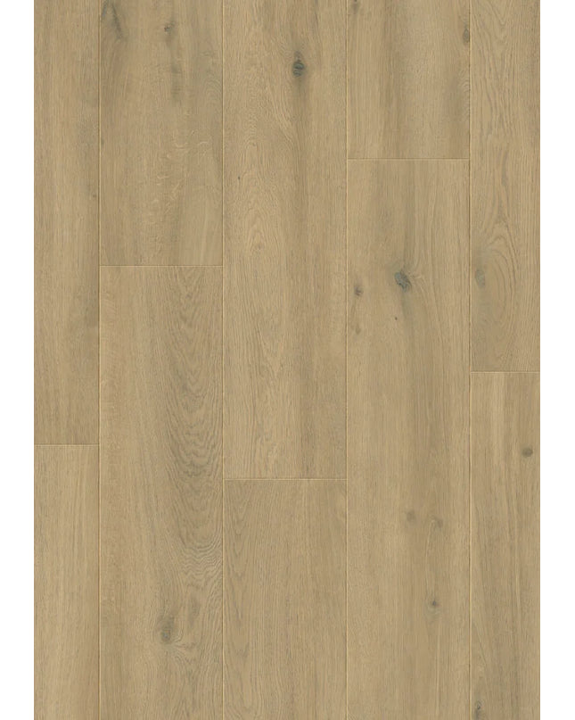 Elite XL V4 Geul 6082 – Aquaprotect
