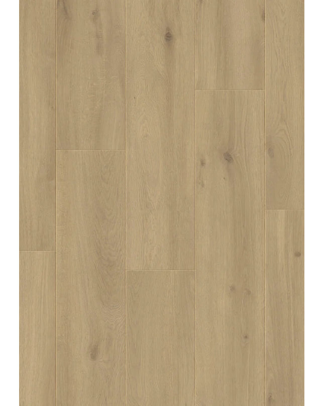 Elite XL V4 Zaan 6084 – Aquaprotect