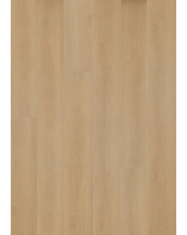 Hoomline Prestige Dryback plank Cannes 5052