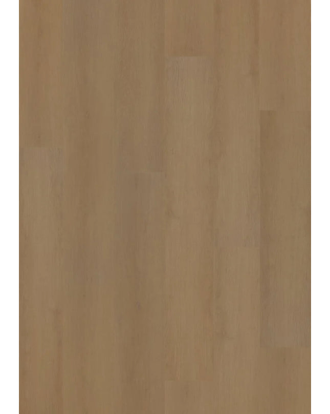 Hoomline Prestige Dryback plank Nice 5053