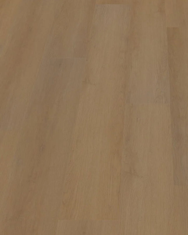 Hoomline Prestige Dryback plank Nice 5053