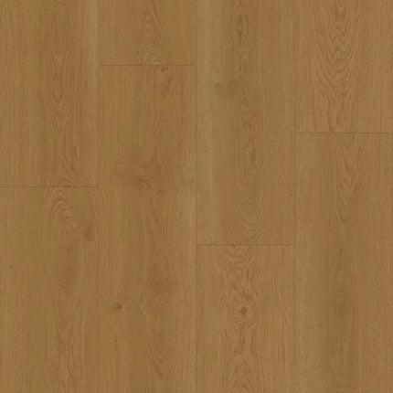 Collection image for: Elegance Dryback