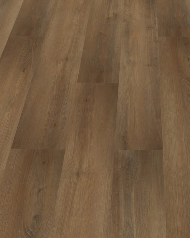 Hoomline Prestige Dryback Port Grimaud 5079 Plank
