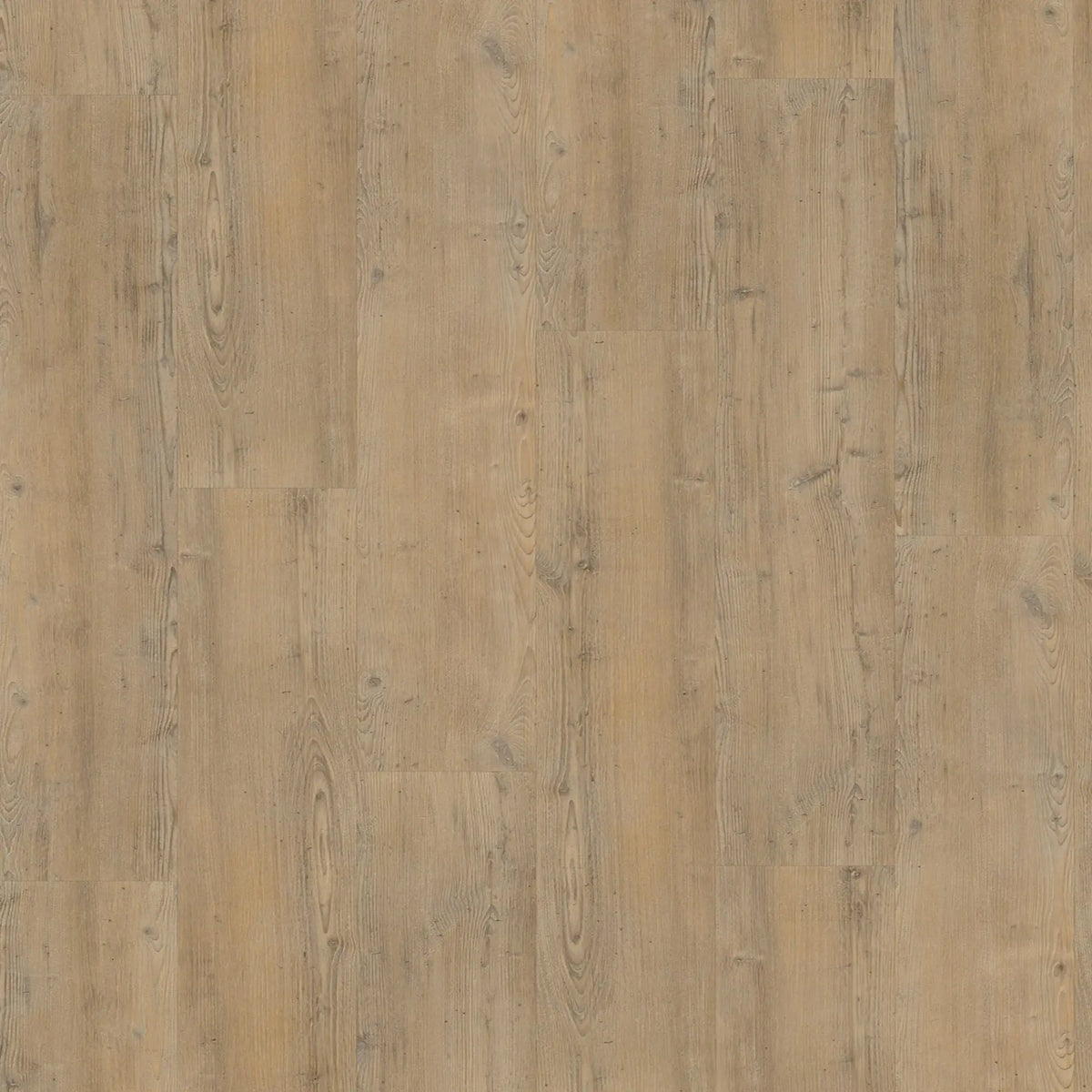 Vivafloors Naaldhout 4203 PVC-vloer – EcoVloeren – bovenaanzicht houtnerf